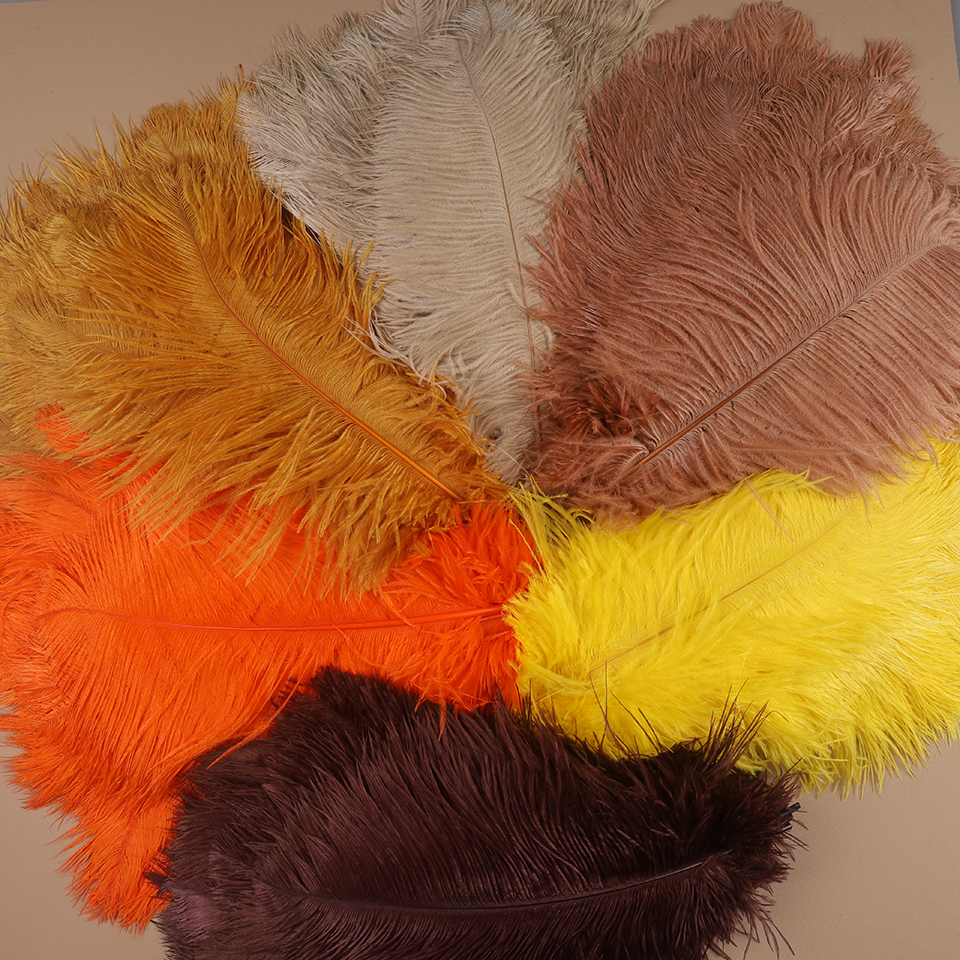 10pcs Ostrich Feathers for Cra - Feather Trim Marabou avaliação e preço