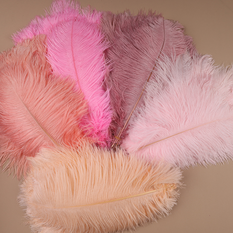 10pcs Ostrich Feathers for Cra - Feather Trim Marabou avaliação e preço