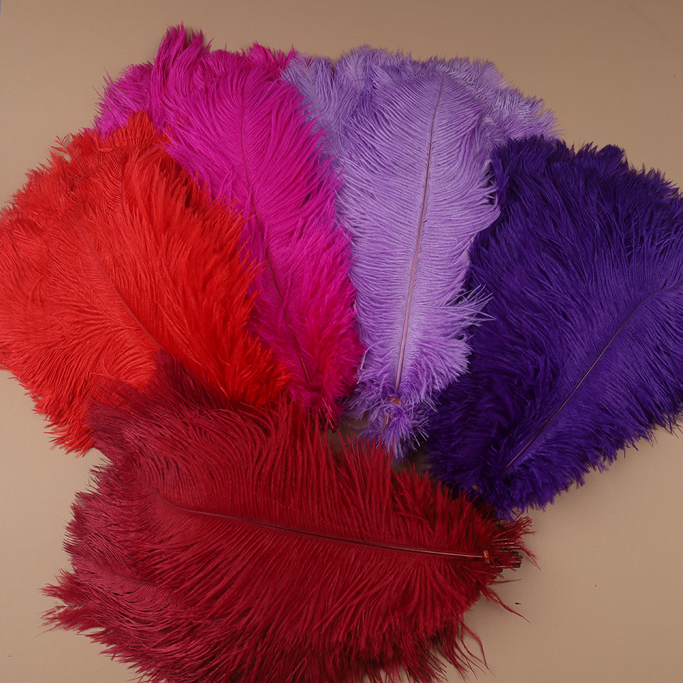 10pcs Ostrich Feathers for Cra - Feather Trim Marabou avaliação e preço