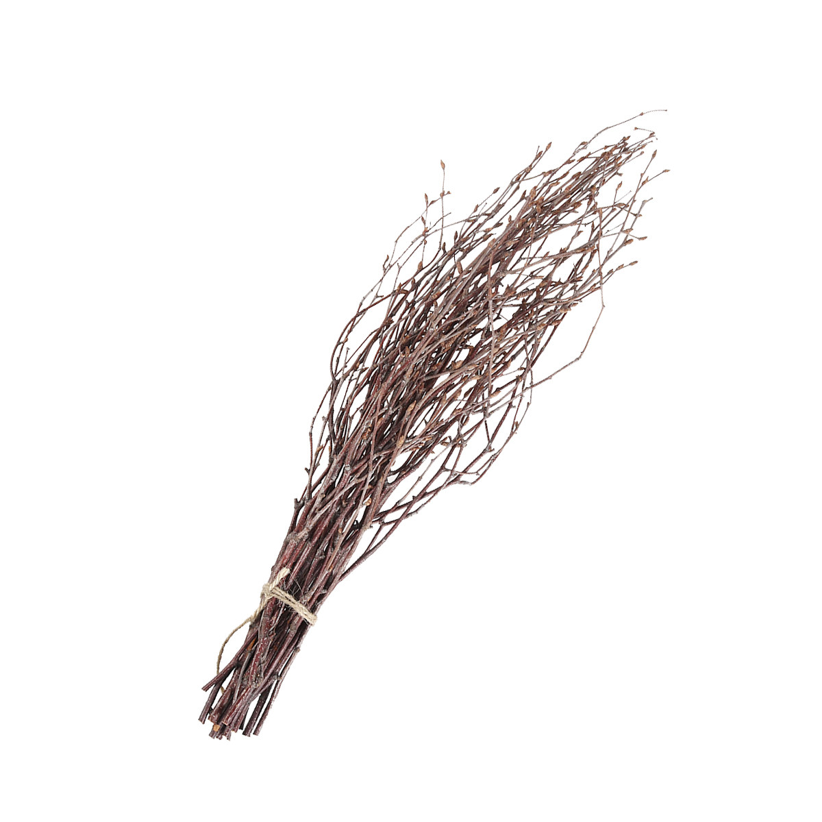 10Pcs 40Cm Birch Branches Real - Embellish Craft avaliação e preço