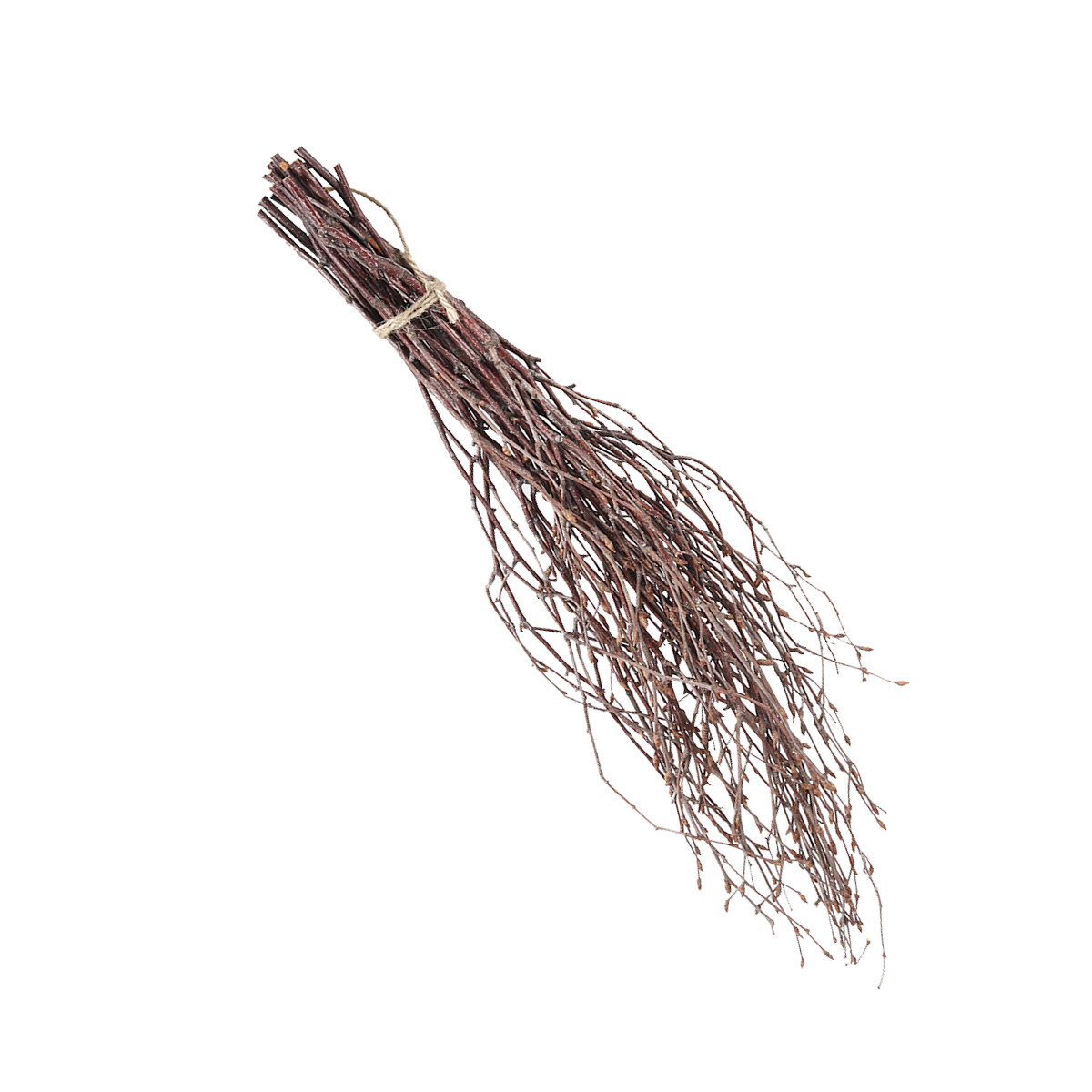 10Pcs 40Cm Birch Branches Real - Embellish Craft avaliação e preço